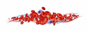 HEMATOLOGIA